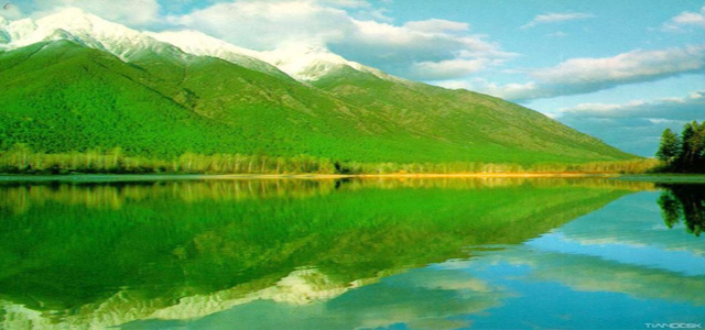 test5